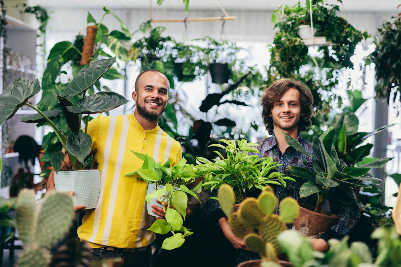 two men carrying pots with plants 2023 11 27 05 33 48 utc 1.jpg