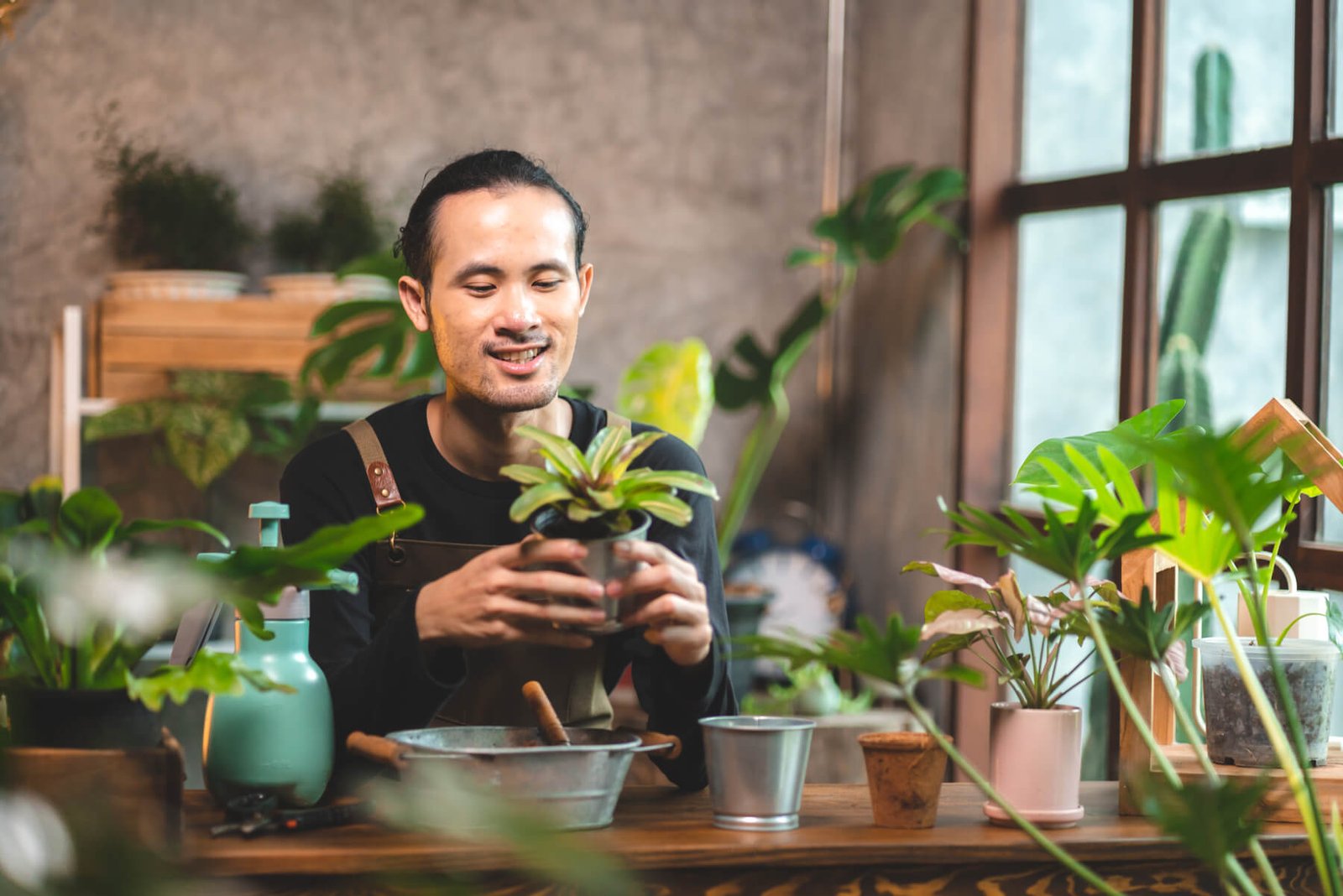 young gardening a plant in hobby at home nature f 2023 11 27 04 53 47 utc 1.jpg